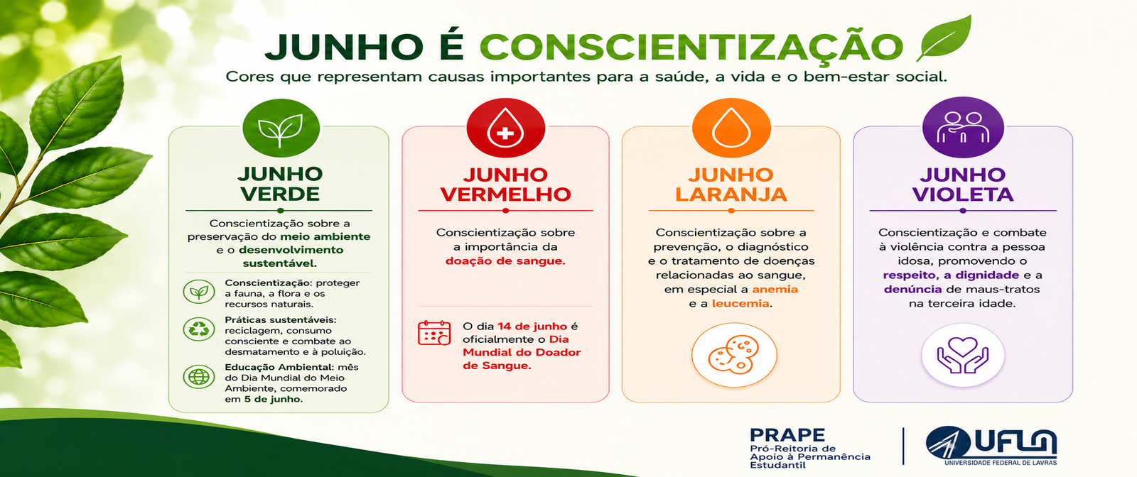 Mês Junho
